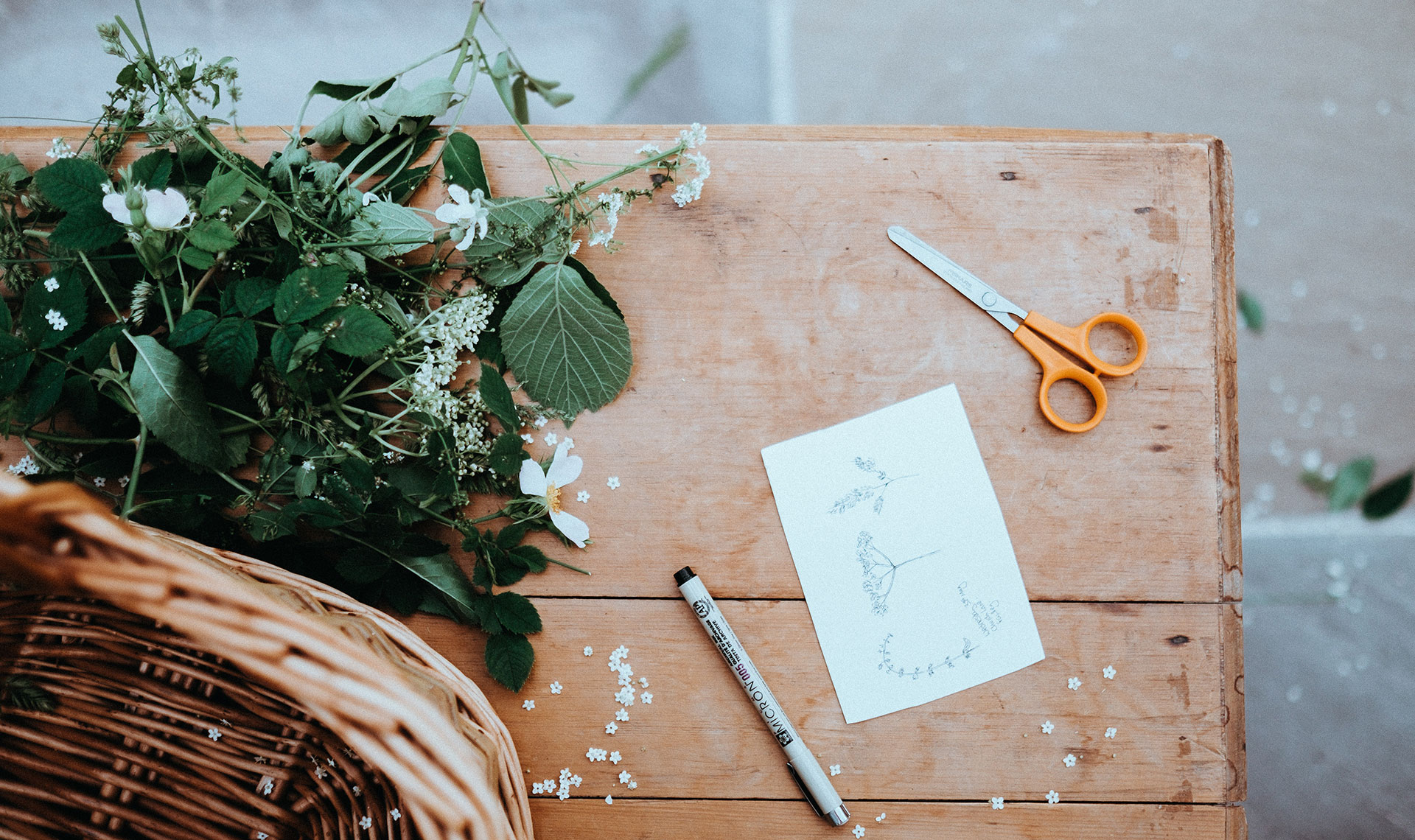 annie-spratt-365536-unsplash.jpg